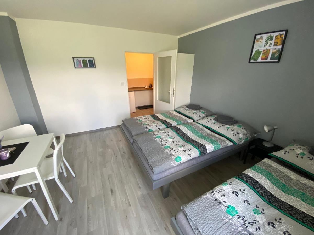Penzion Kamejk Kamyk nad Vltavou Extérieur photo
