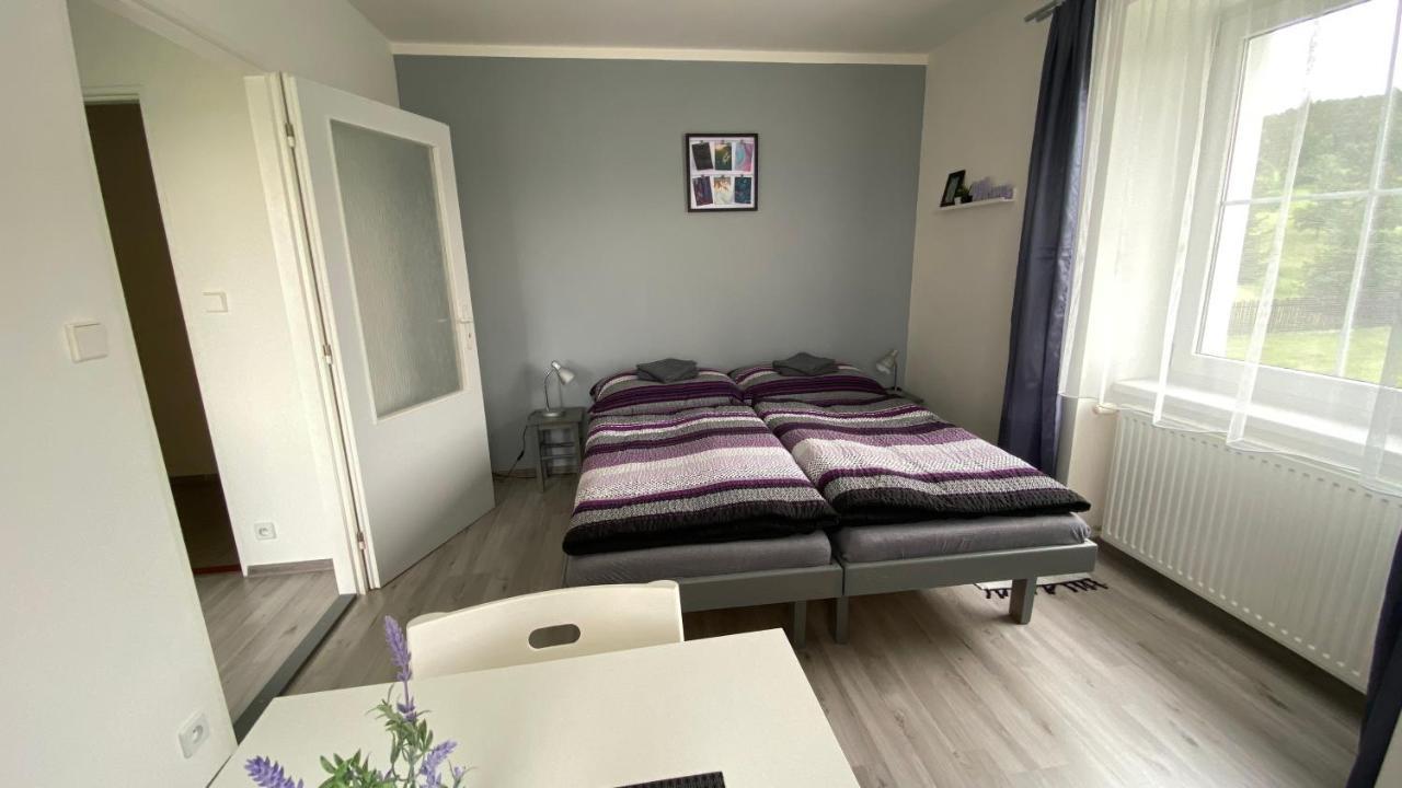 Penzion Kamejk Kamyk nad Vltavou Extérieur photo