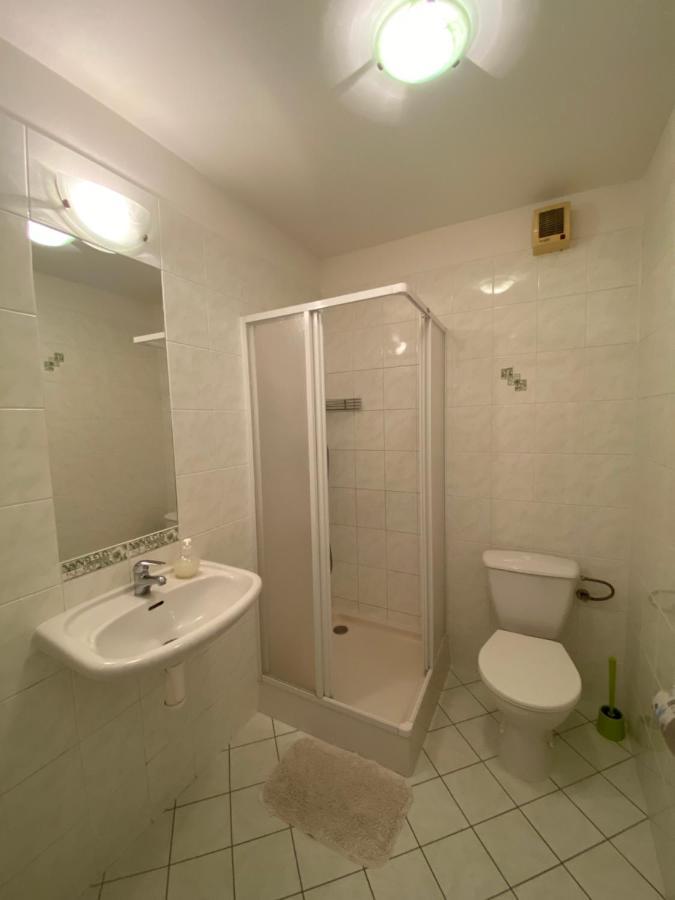 Penzion Kamejk Kamyk nad Vltavou Extérieur photo