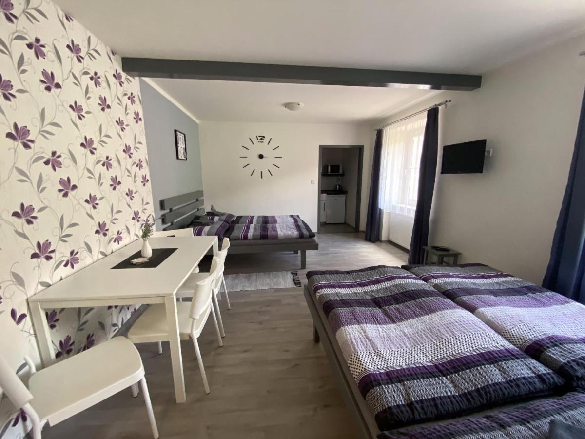 Penzion Kamejk Kamyk nad Vltavou Extérieur photo
